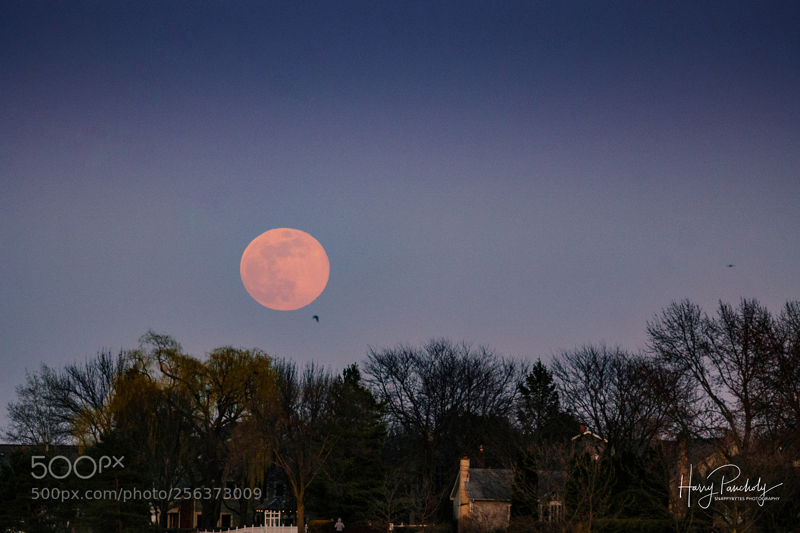 Sony a6000 sample photo. Full moon photography
