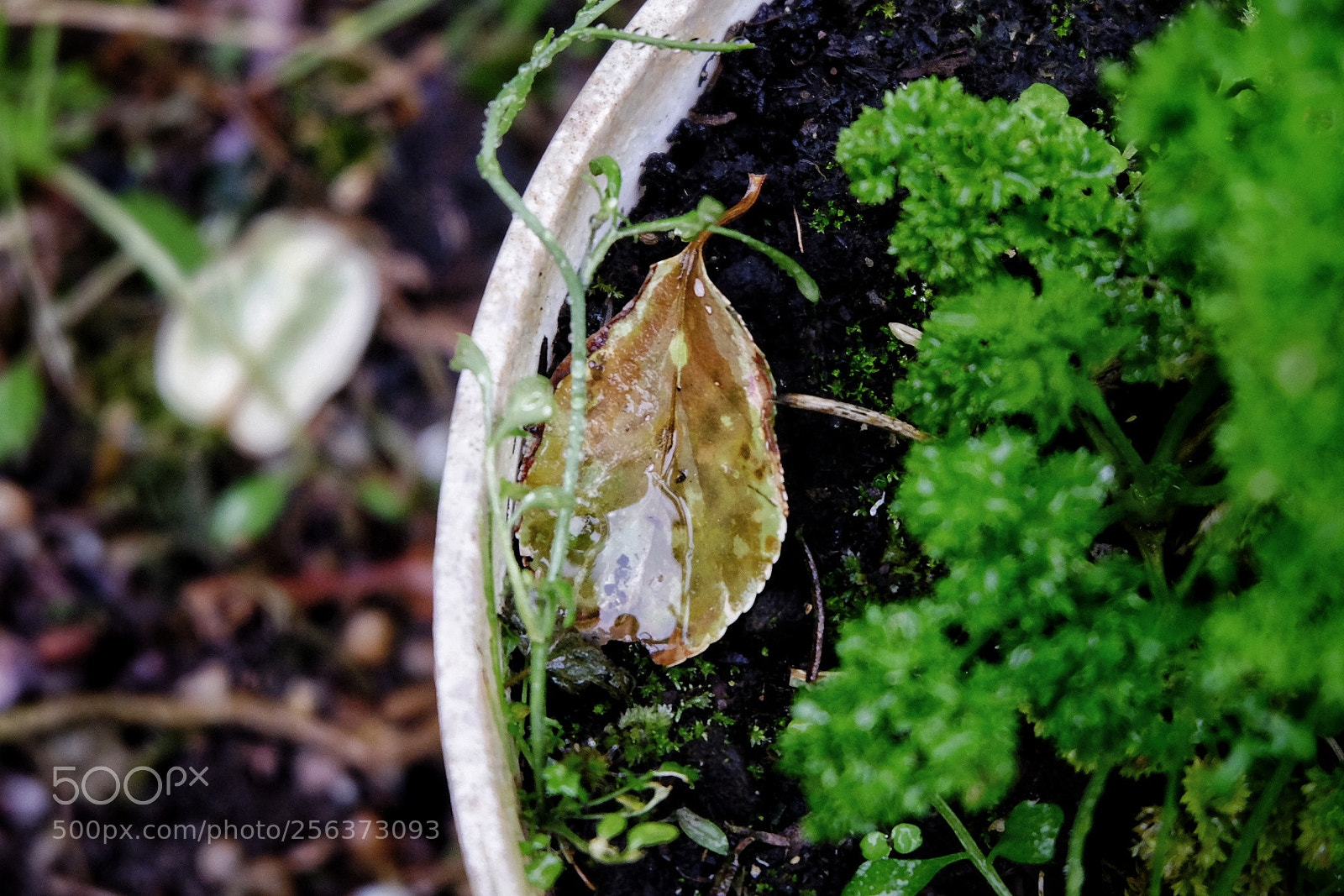 Fujifilm X-T10 sample photo. Untitled photography