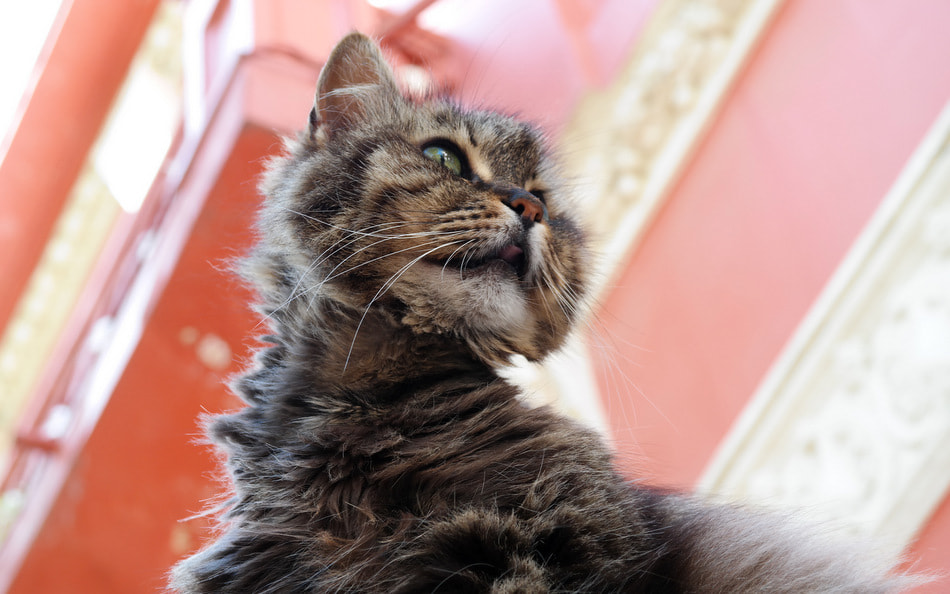 Samsung NX30 sample photo. ... photography