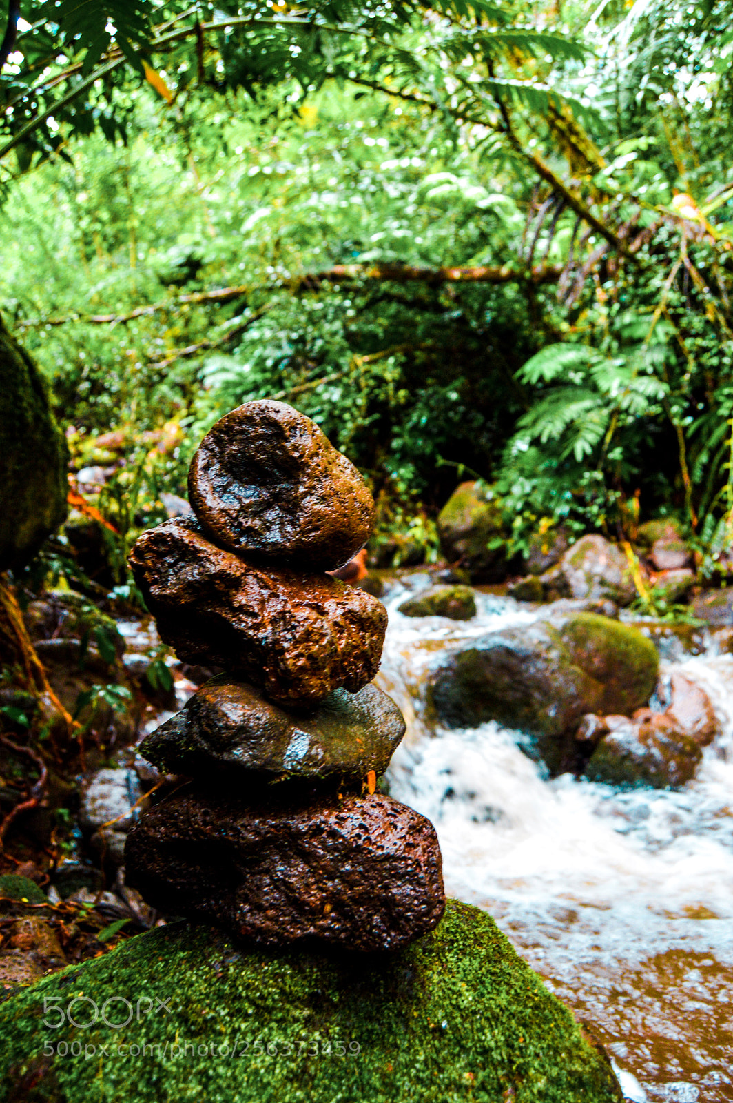 Nikon D3200 sample photo. Hawaii trail cairn photography