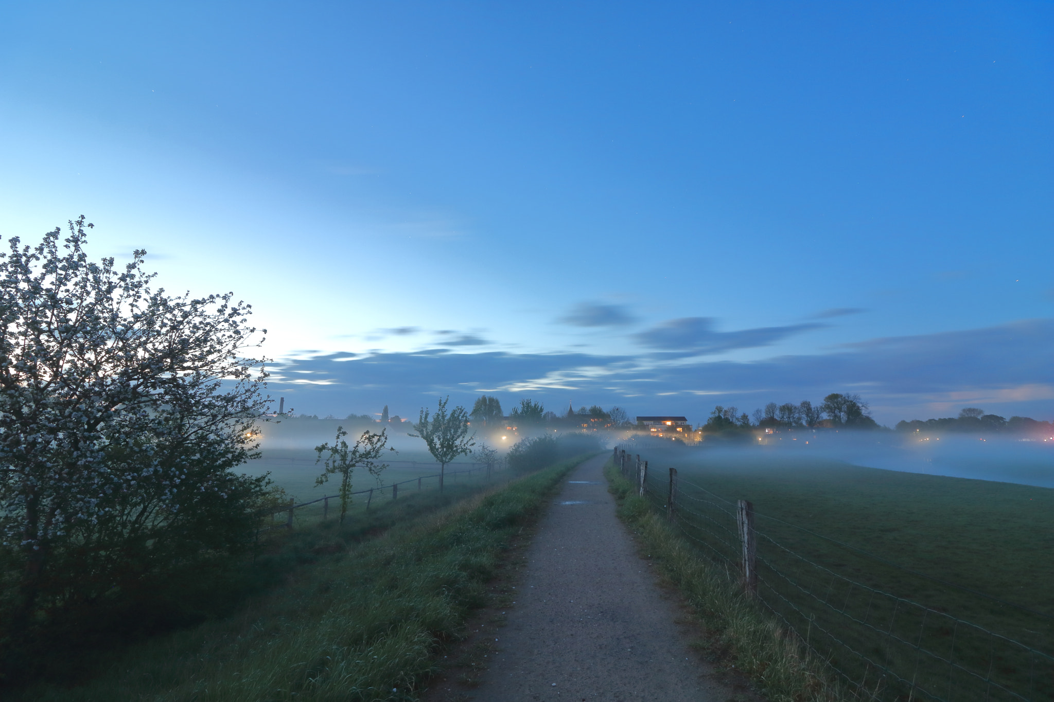 Canon EOS 750D (EOS Rebel T6i / EOS Kiss X8i) sample photo. Bramscher hasewiesen im nebel. photography