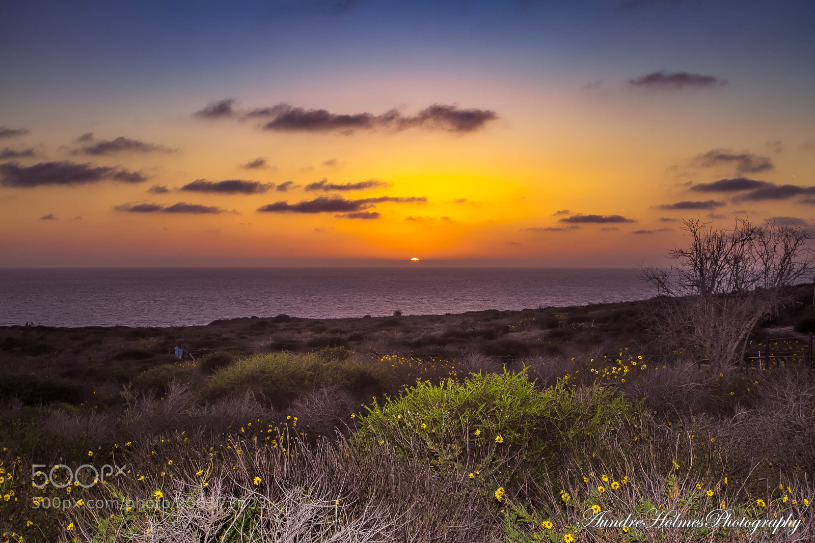 Canon EOS 7D sample photo. Headlands dana point 2 photography
