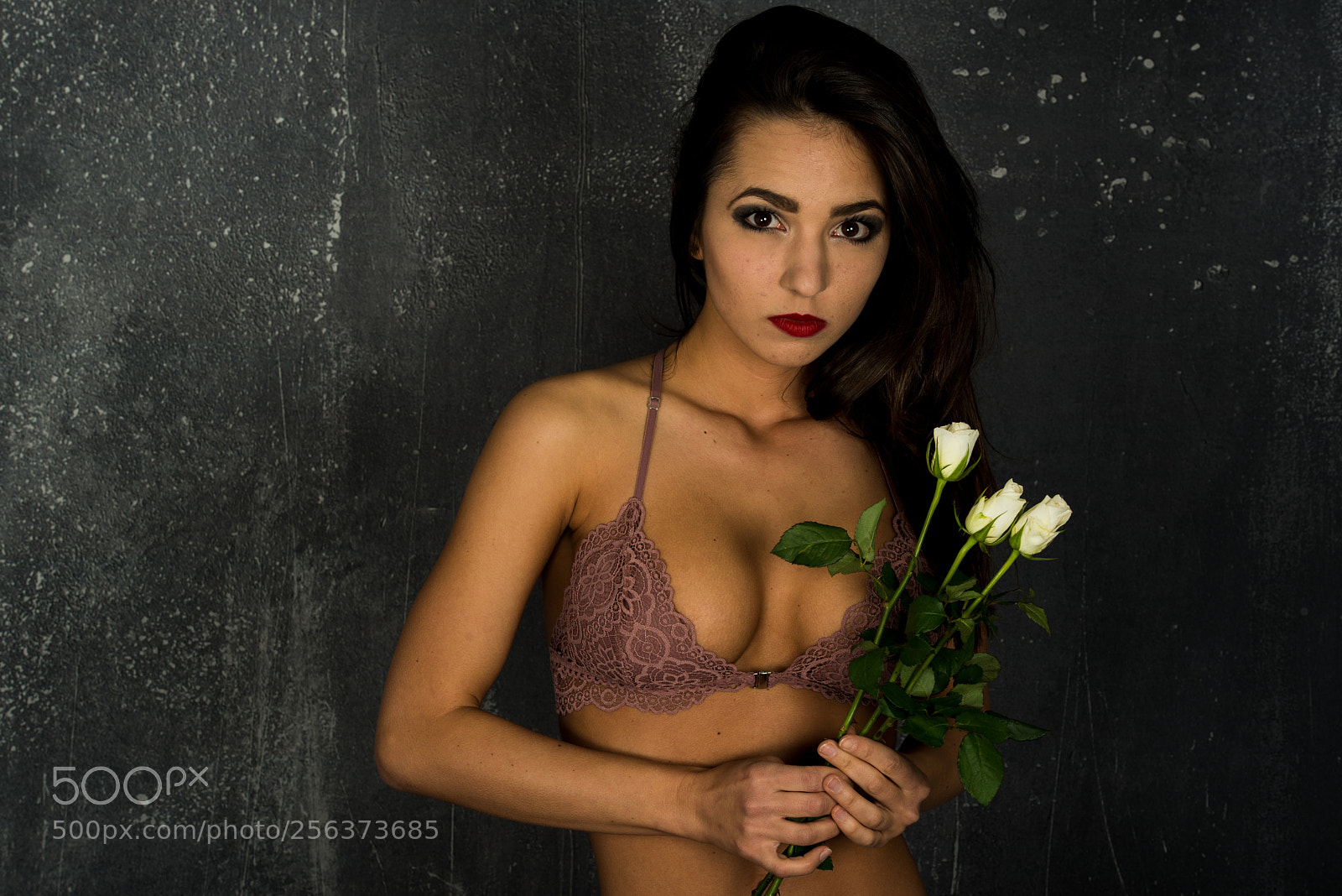 Nikon D800 sample photo. Lingerie photography
