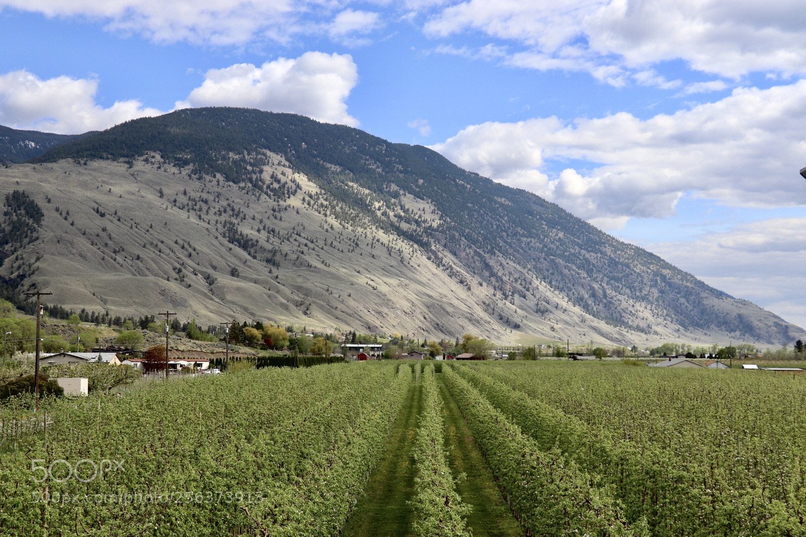 Canon EOS 800D (EOS Rebel T7i / EOS Kiss X9i) sample photo. Small town landscape  photography