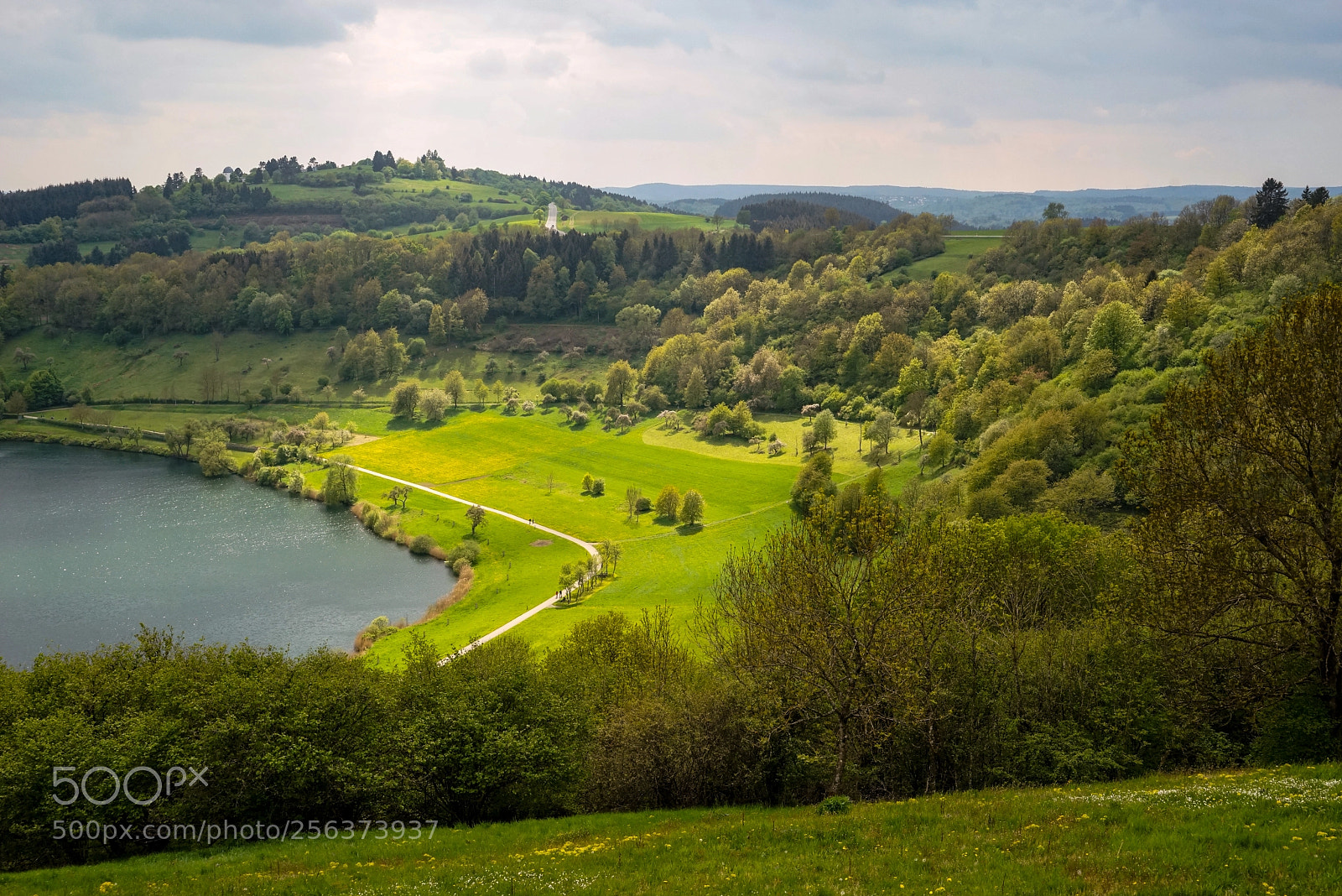 Sony a7R sample photo. Schalkenmehrener maar photography