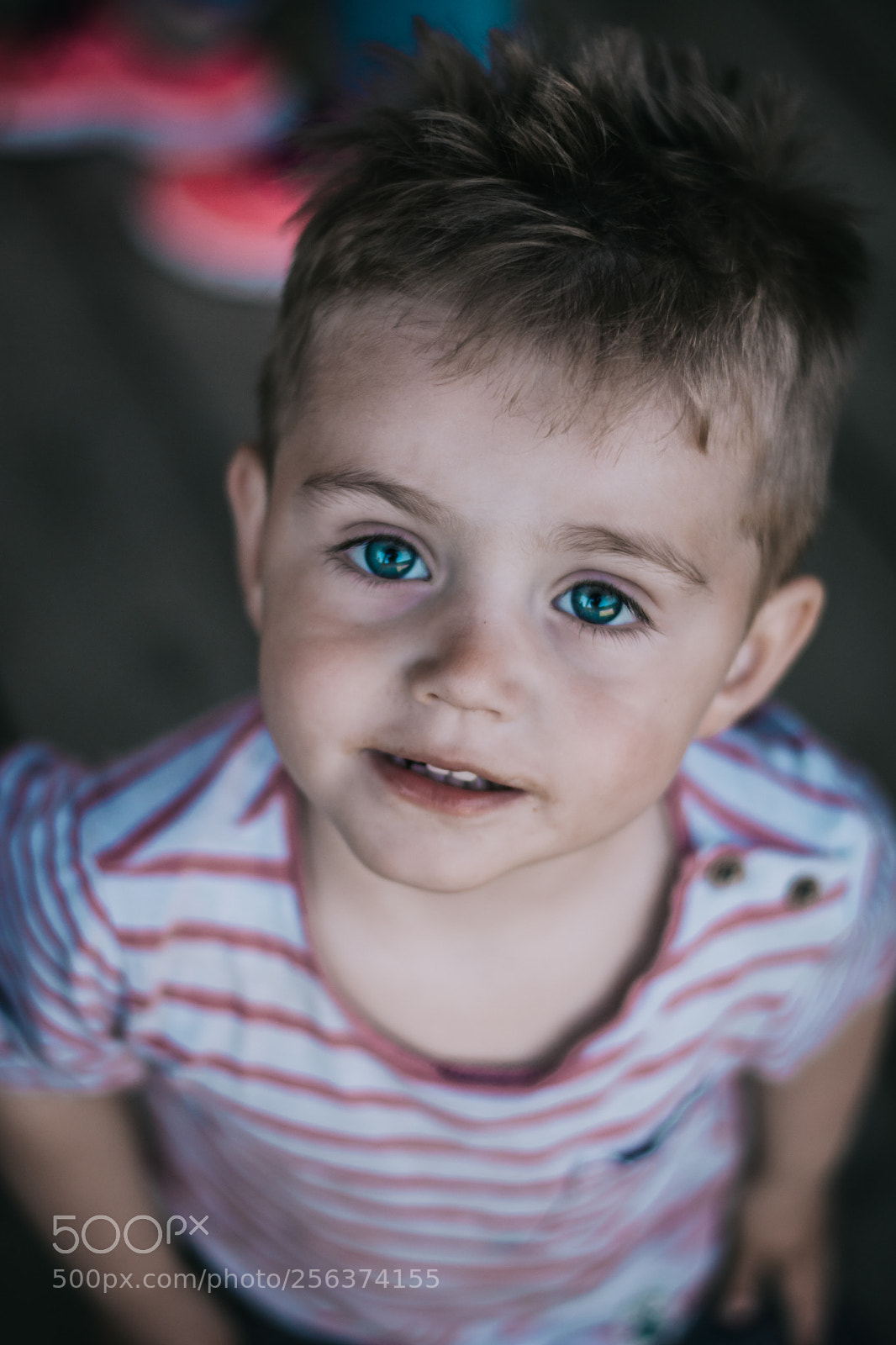 Nikon D7100 sample photo. David photography