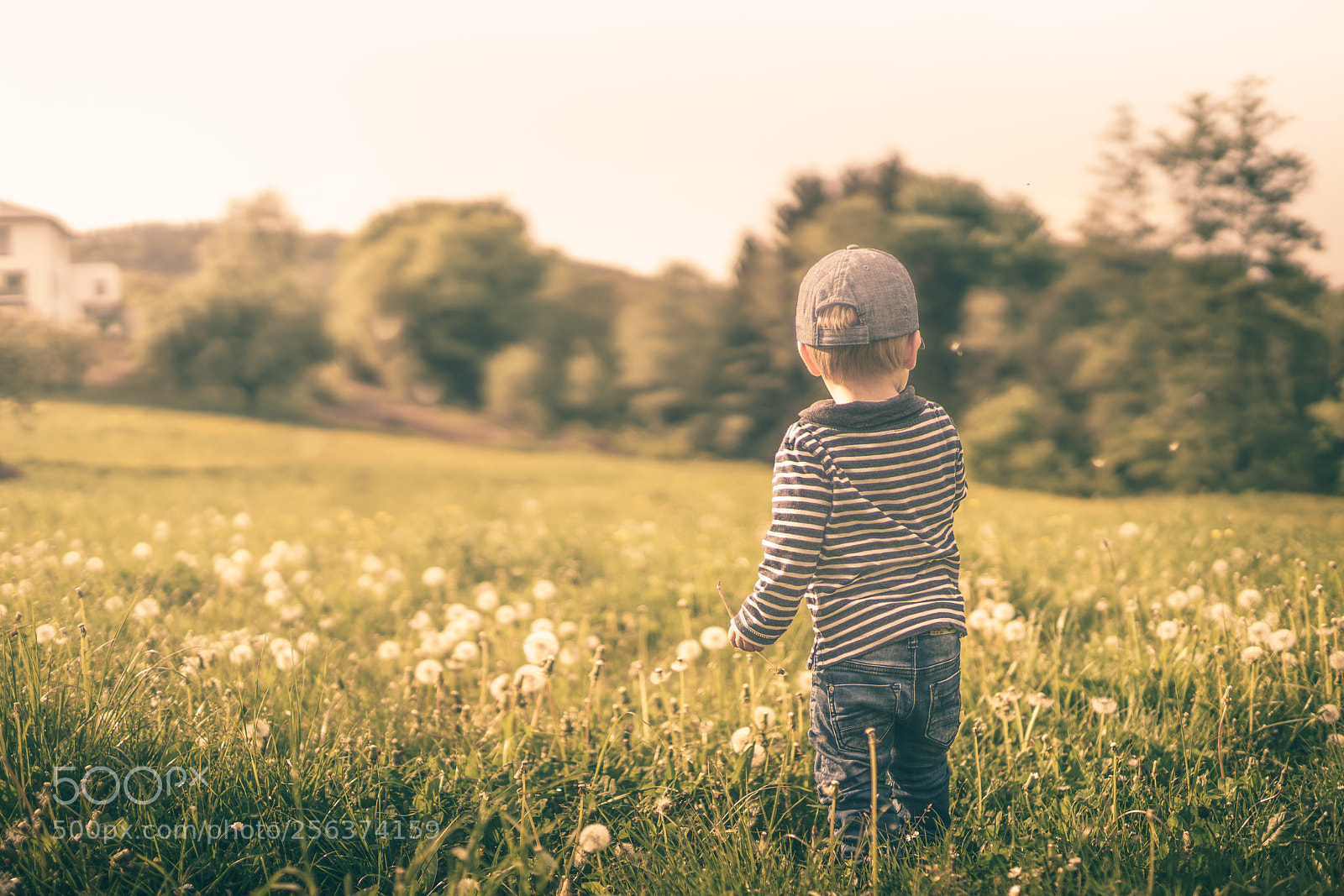 Sony a7R II sample photo. In the field photography