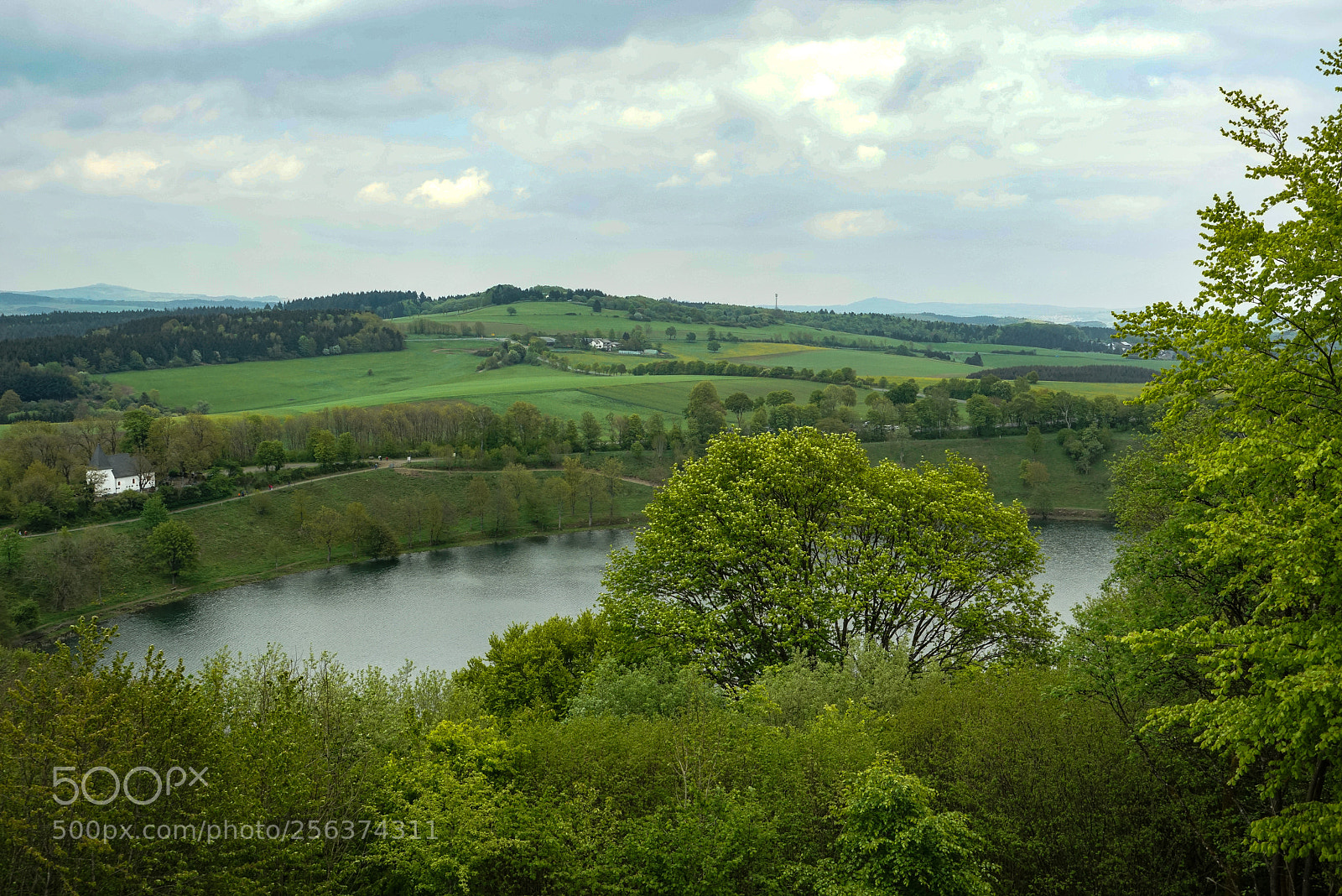 Sony a7R sample photo. Weinfelder maar photography