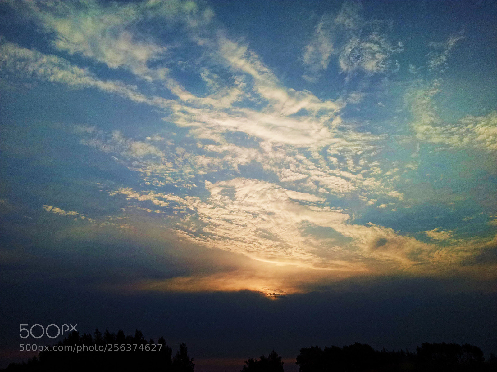 Samsung Galaxy S2 sample photo. Aajura () efoto+ bal photography