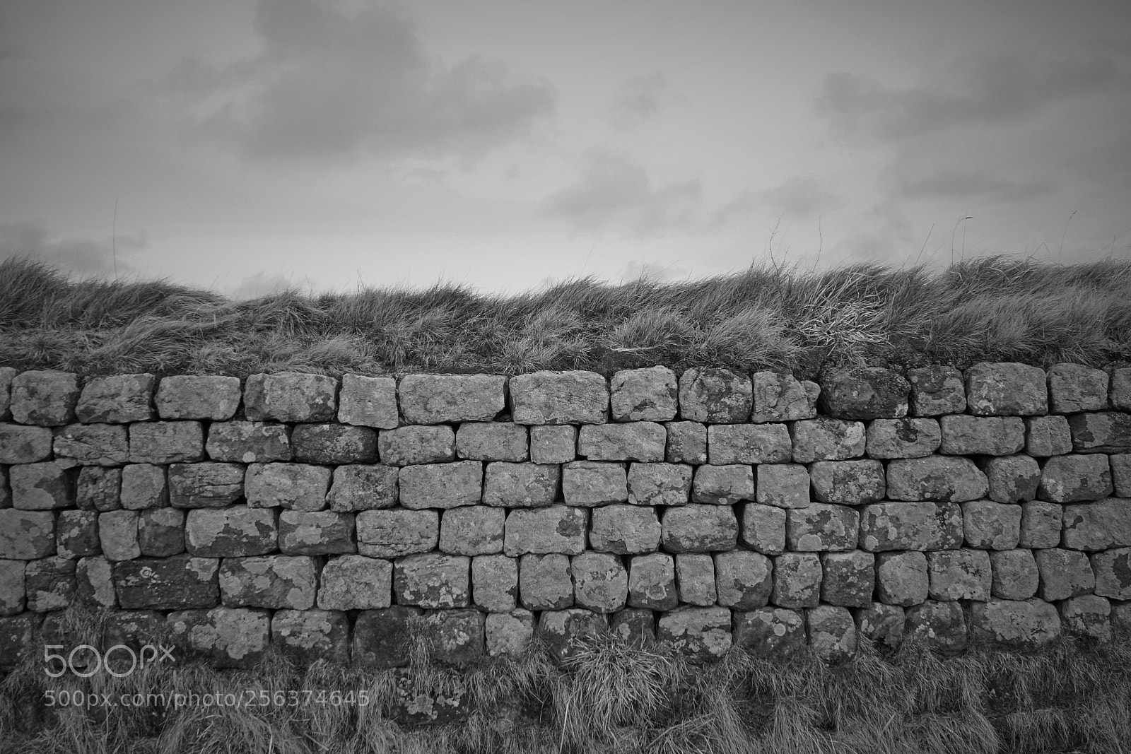Sony a7 II sample photo. Hadrians wall photography