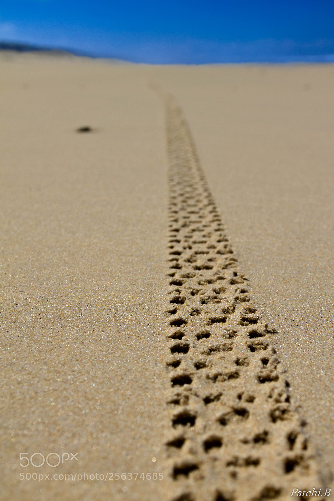 Canon EOS 7D sample photo. Balade sur la plage photography