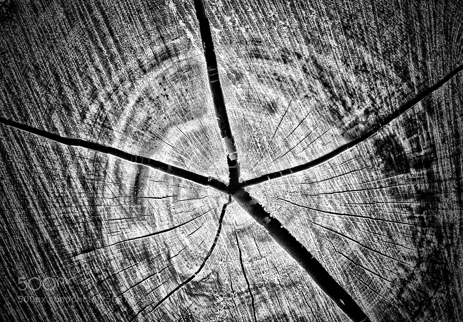 Nikon D3100 sample photo. Untitled photography