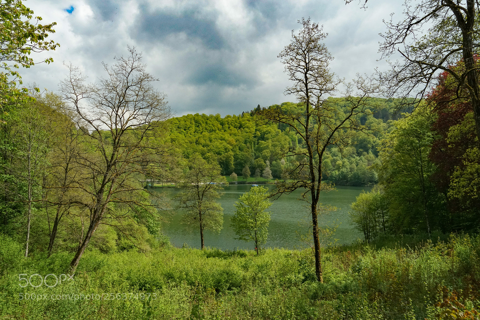 Sony a7R sample photo. Gemündener maar photography