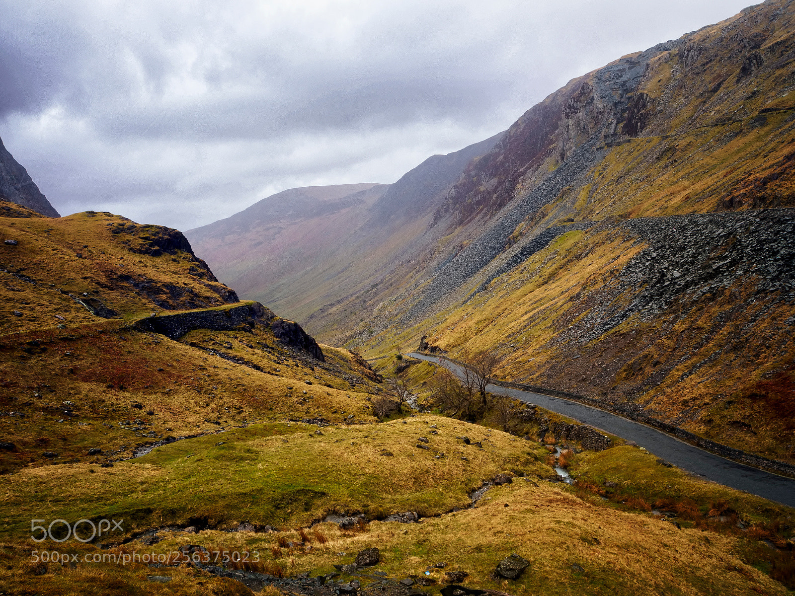 Olympus OM-D E-M5 sample photo. The lake district i photography