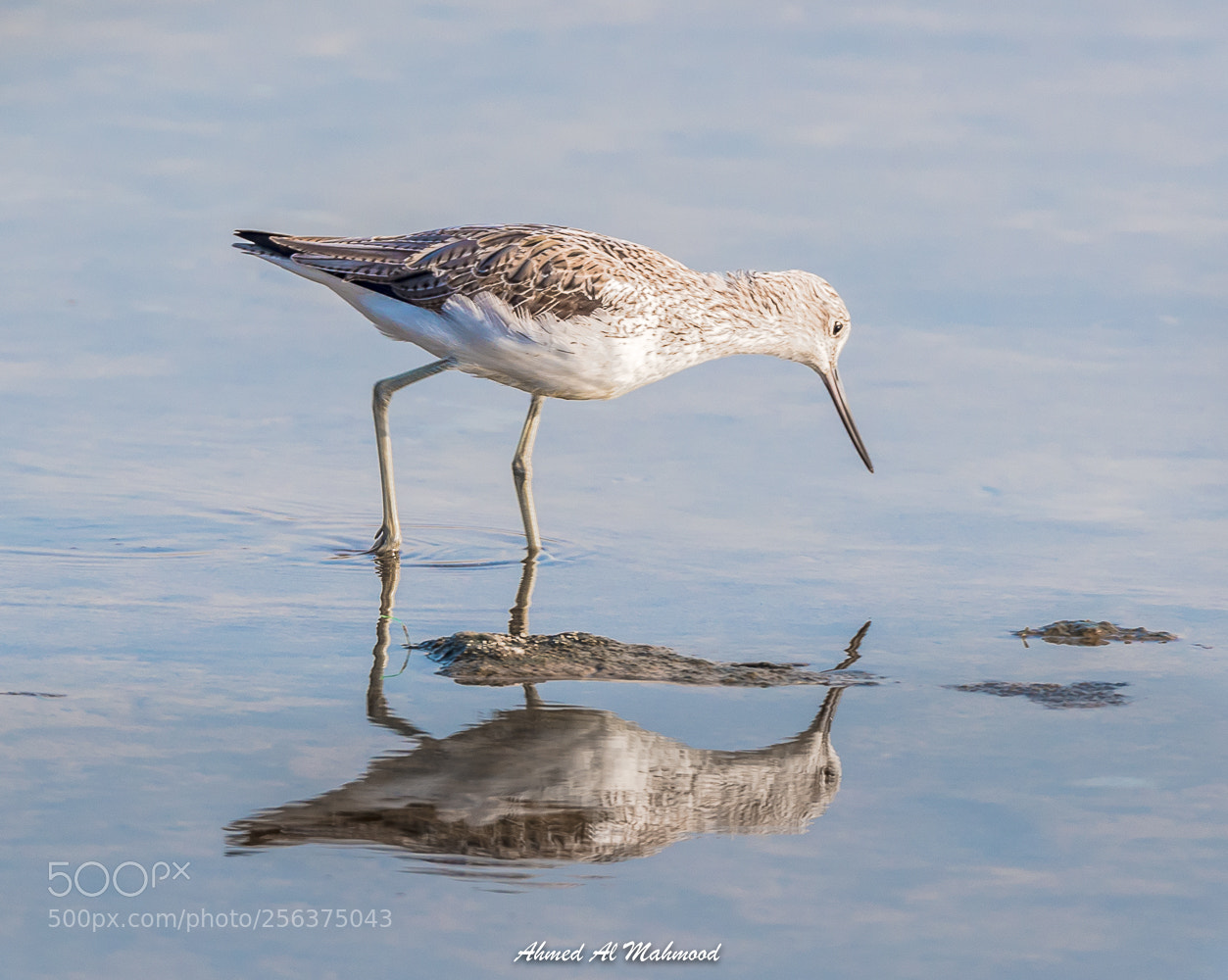 Nikon D750 sample photo. Look to the mirror photography