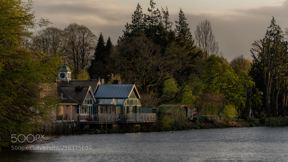 Nikon D750 sample photo. Evening sun in cork photography