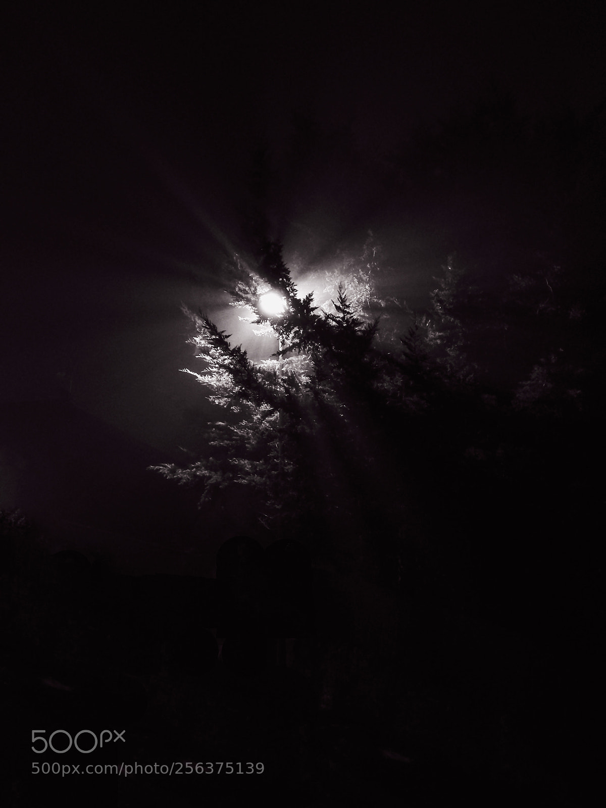 Nikon Coolpix L820 sample photo. Nuit photography