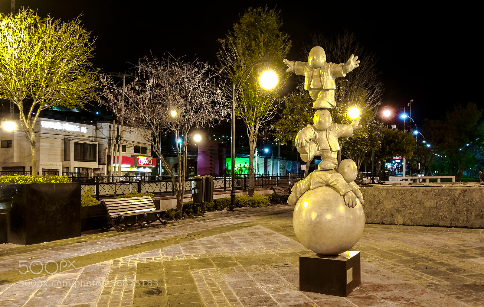 Sony DSC-RX100M5 sample photo. Recogiendo estrellas photography