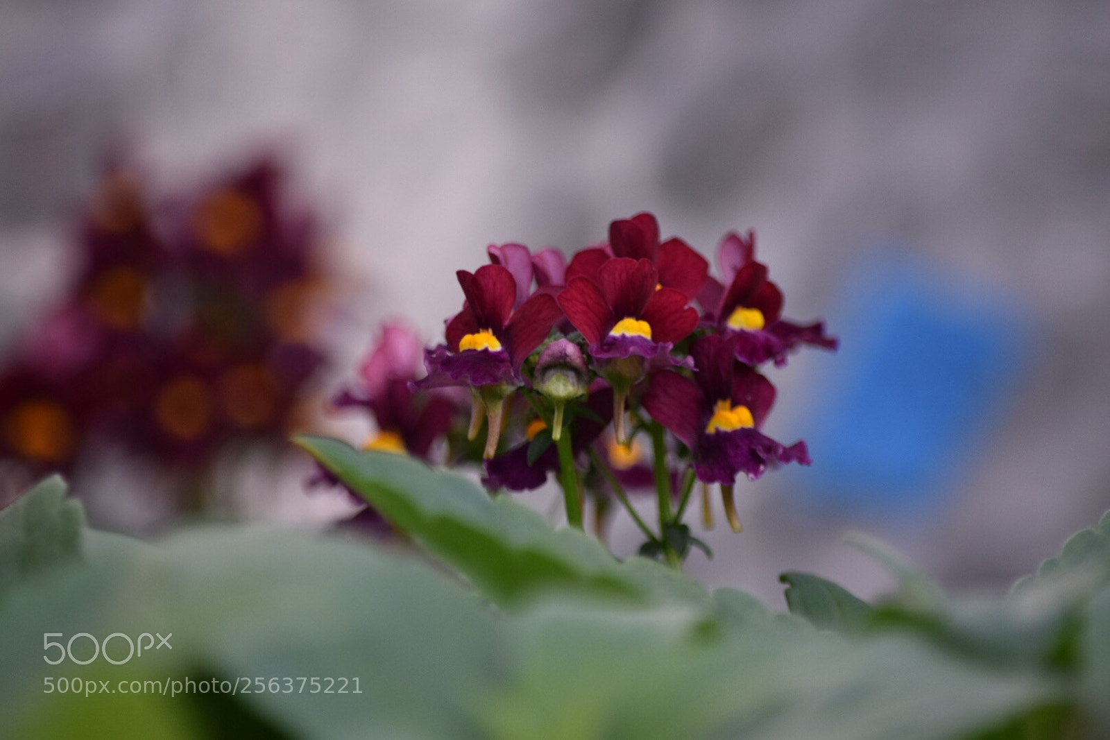 Nikon D5300 sample photo. Untitled photography