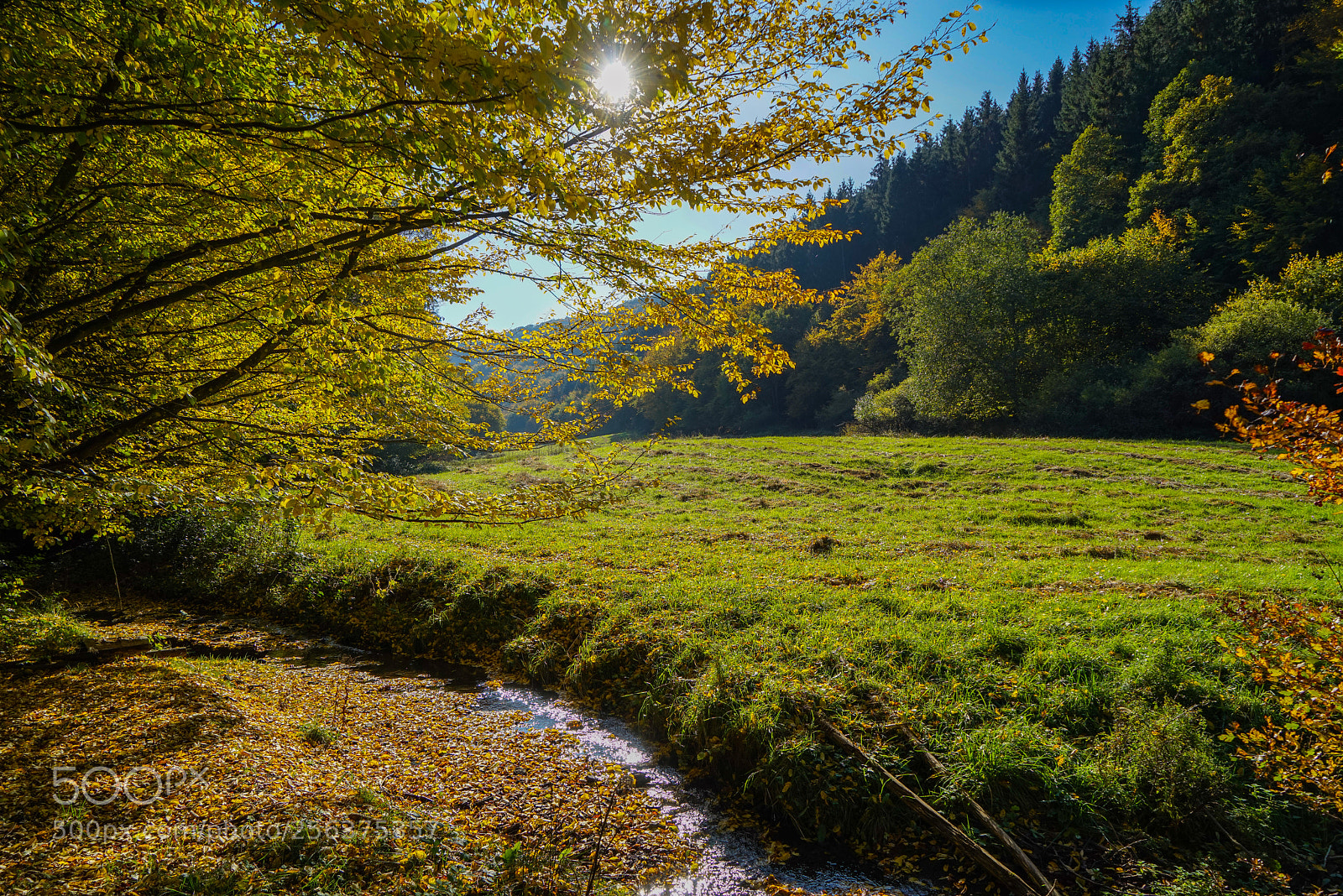 Sony a7R sample photo. Herbst im denntal photography