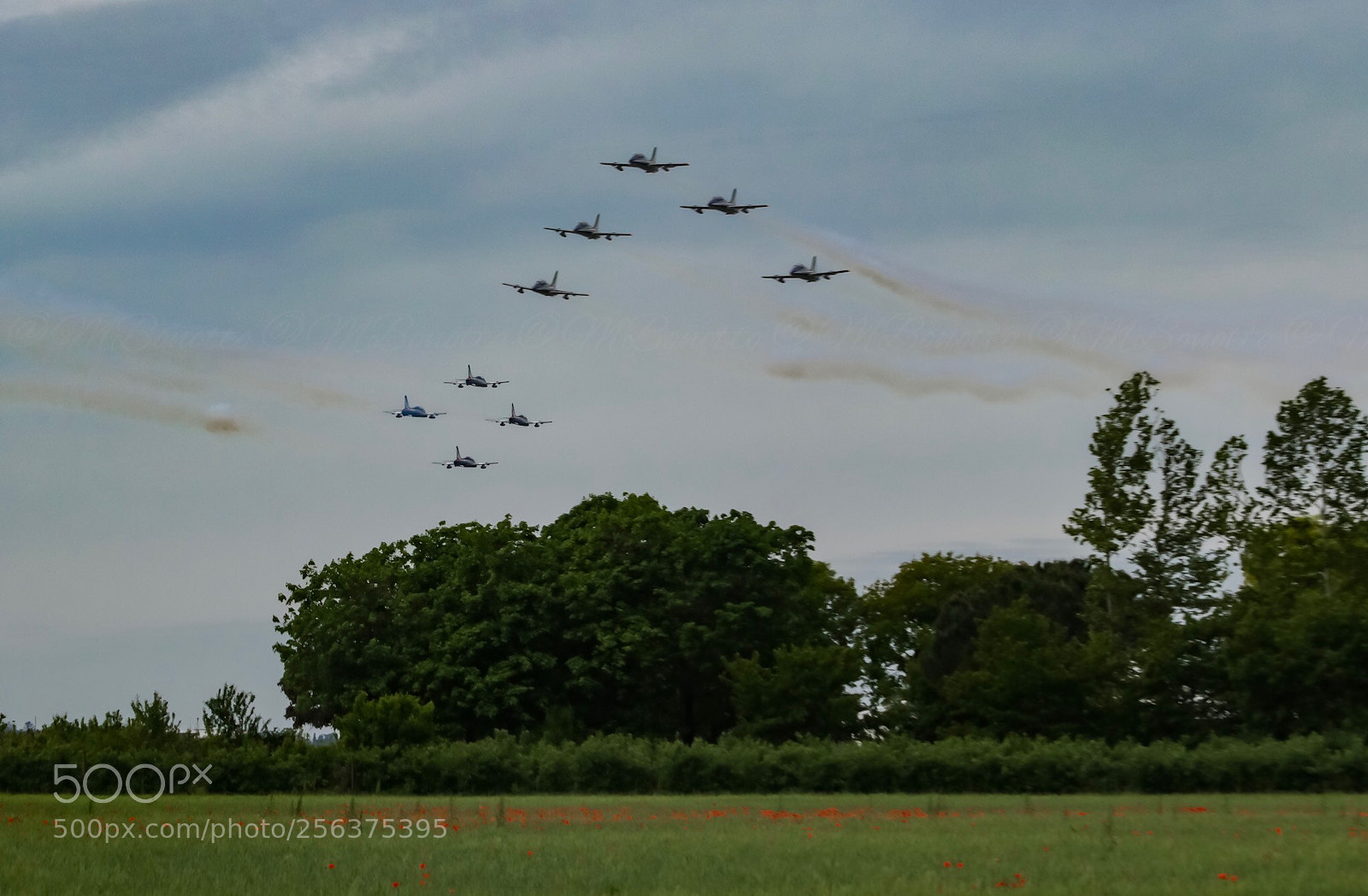 Canon EOS 80D sample photo. Frecce tricolori photography