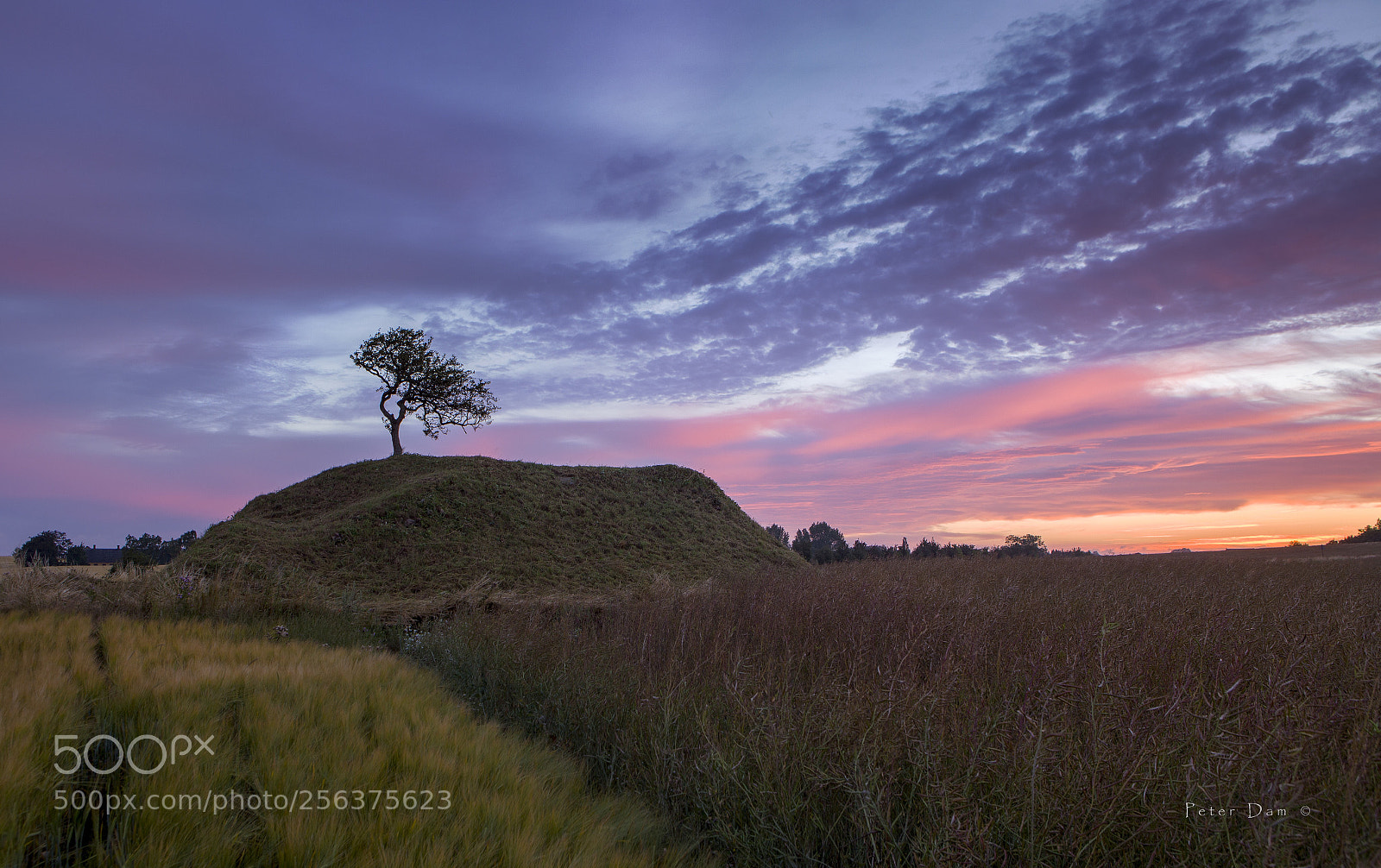 Canon EOS 6D sample photo. Old grave mound photography