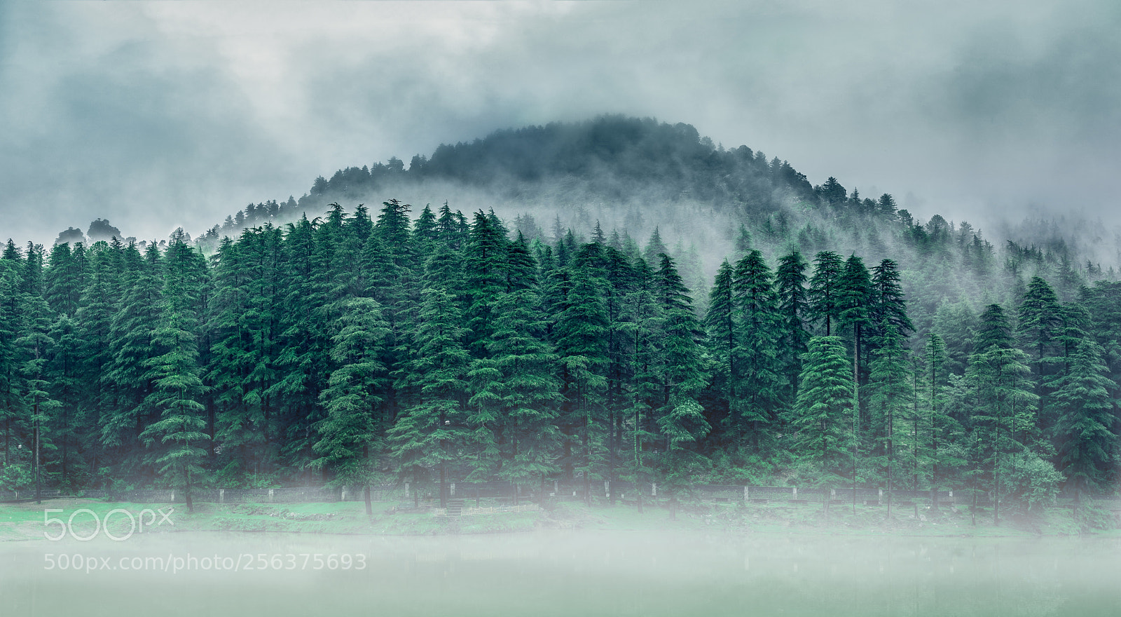 Nikon D810 sample photo. Foggy landscape photography