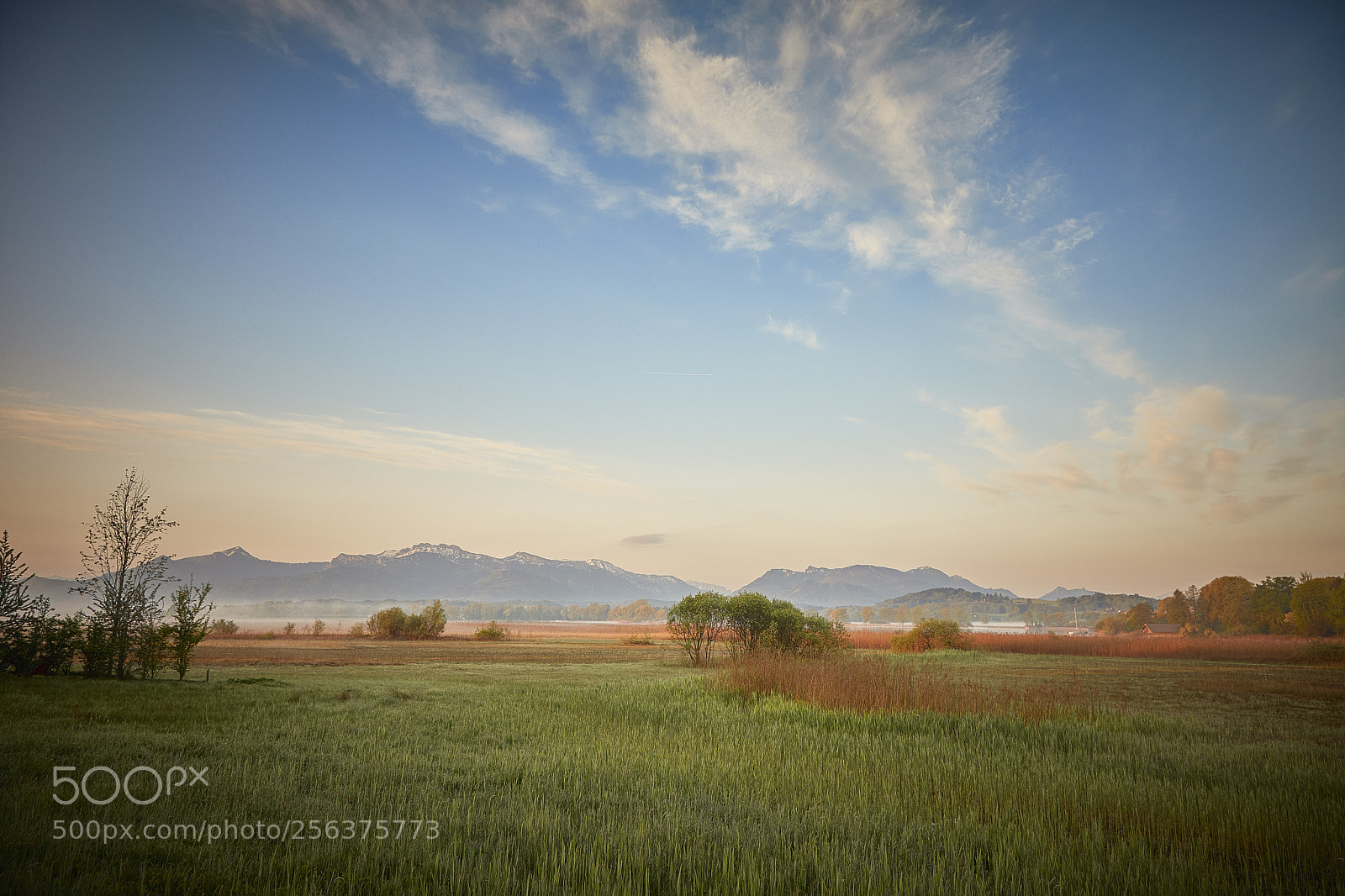 Canon EOS 5D Mark IV sample photo. Calm dawn photography