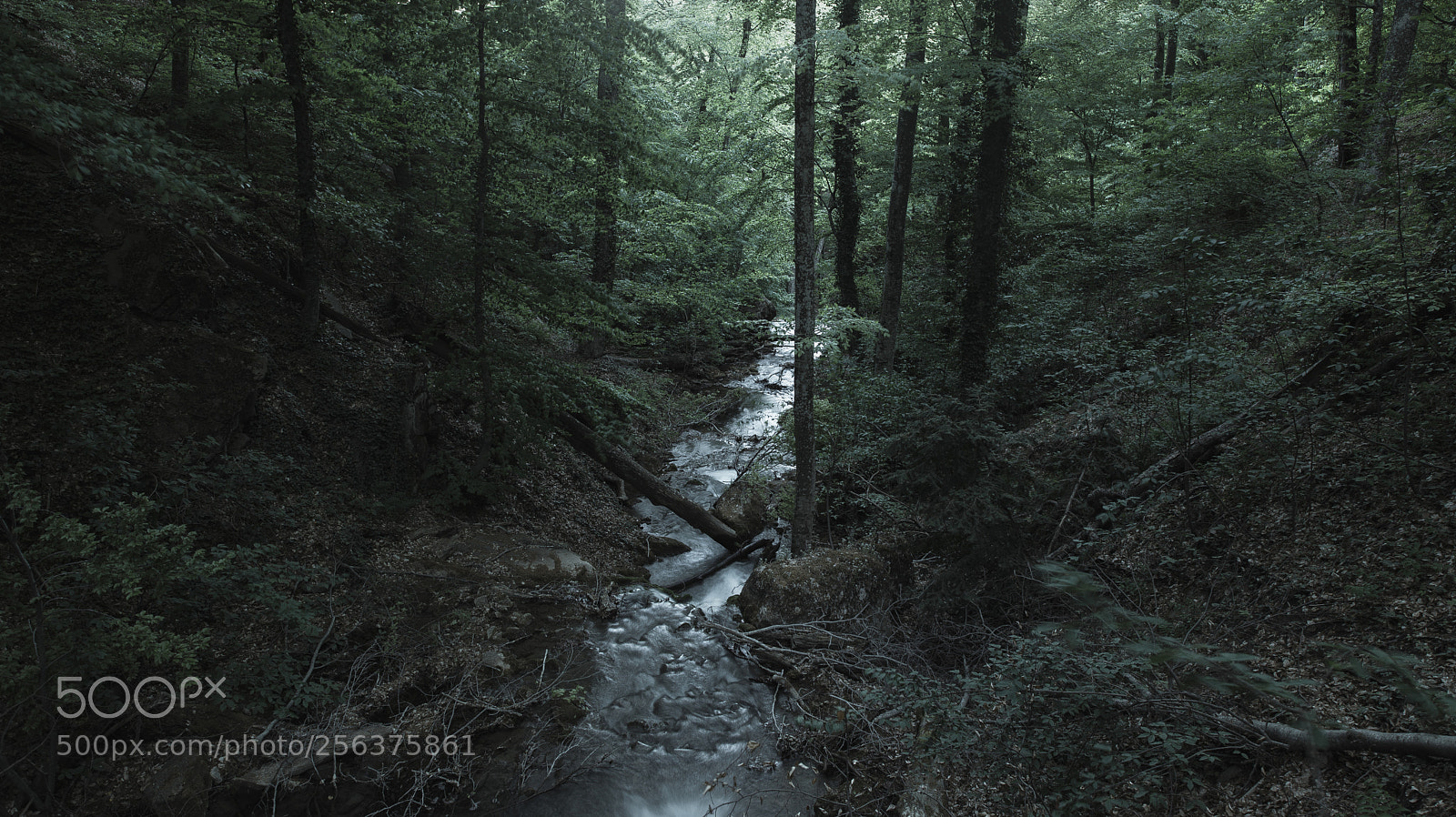 Canon EOS 6D Mark II sample photo. River photography