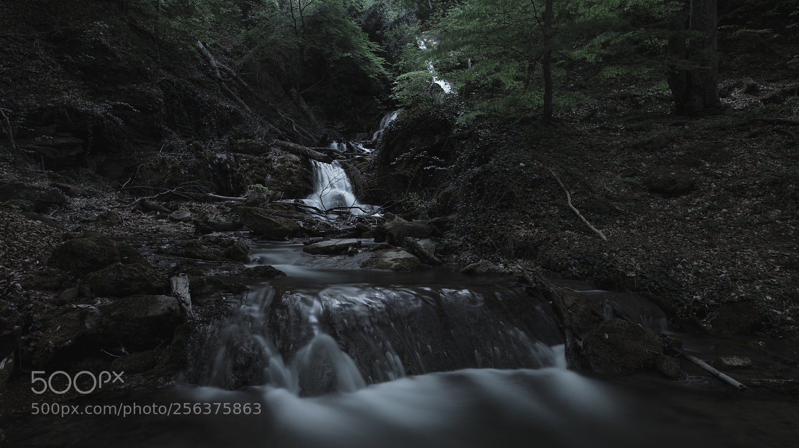 Canon EOS 6D Mark II sample photo. River photography