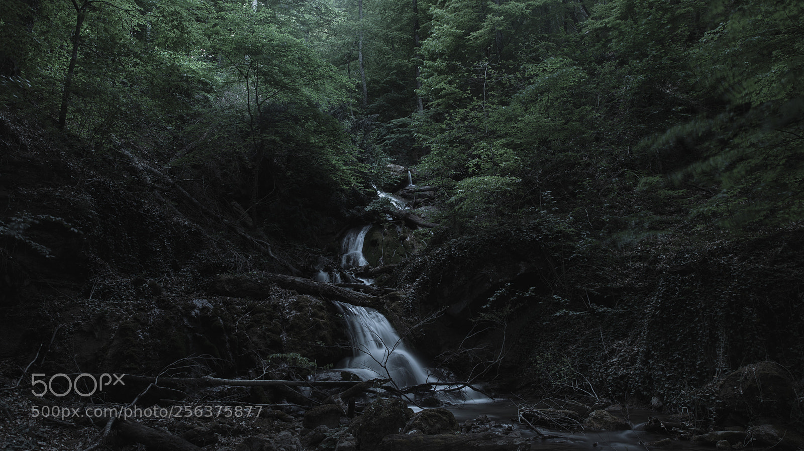 Canon EOS 6D Mark II sample photo. River photography