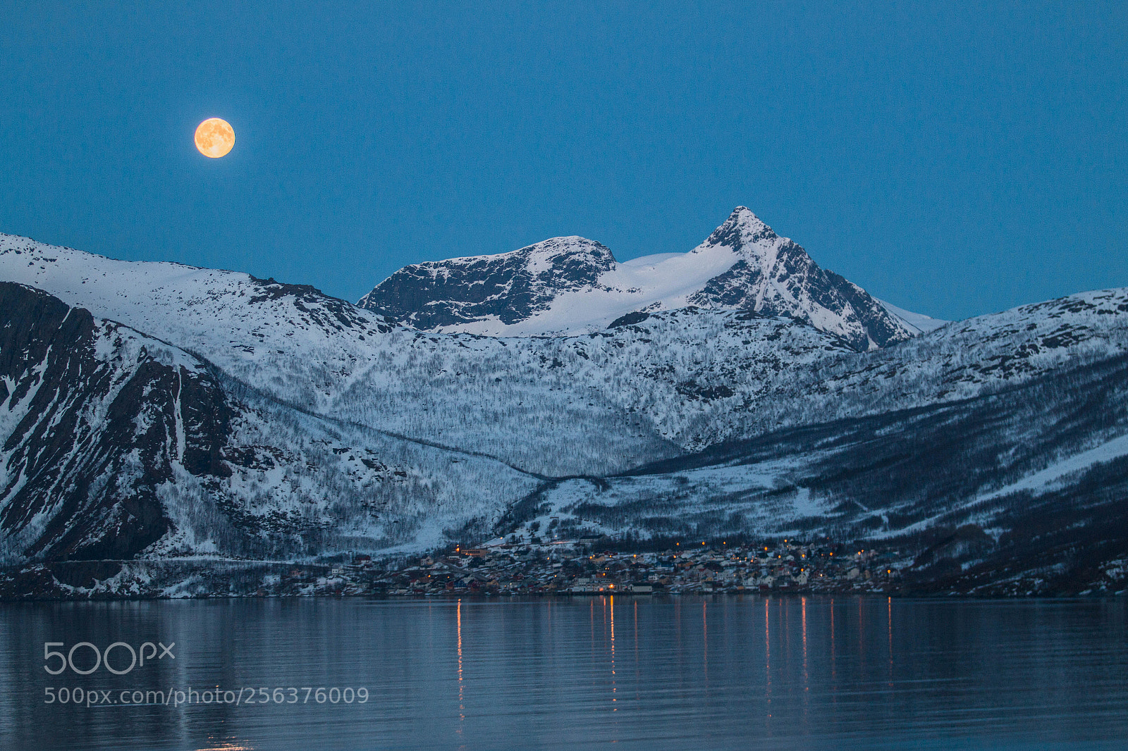 Canon EOS 70D sample photo. Fjordgård photography