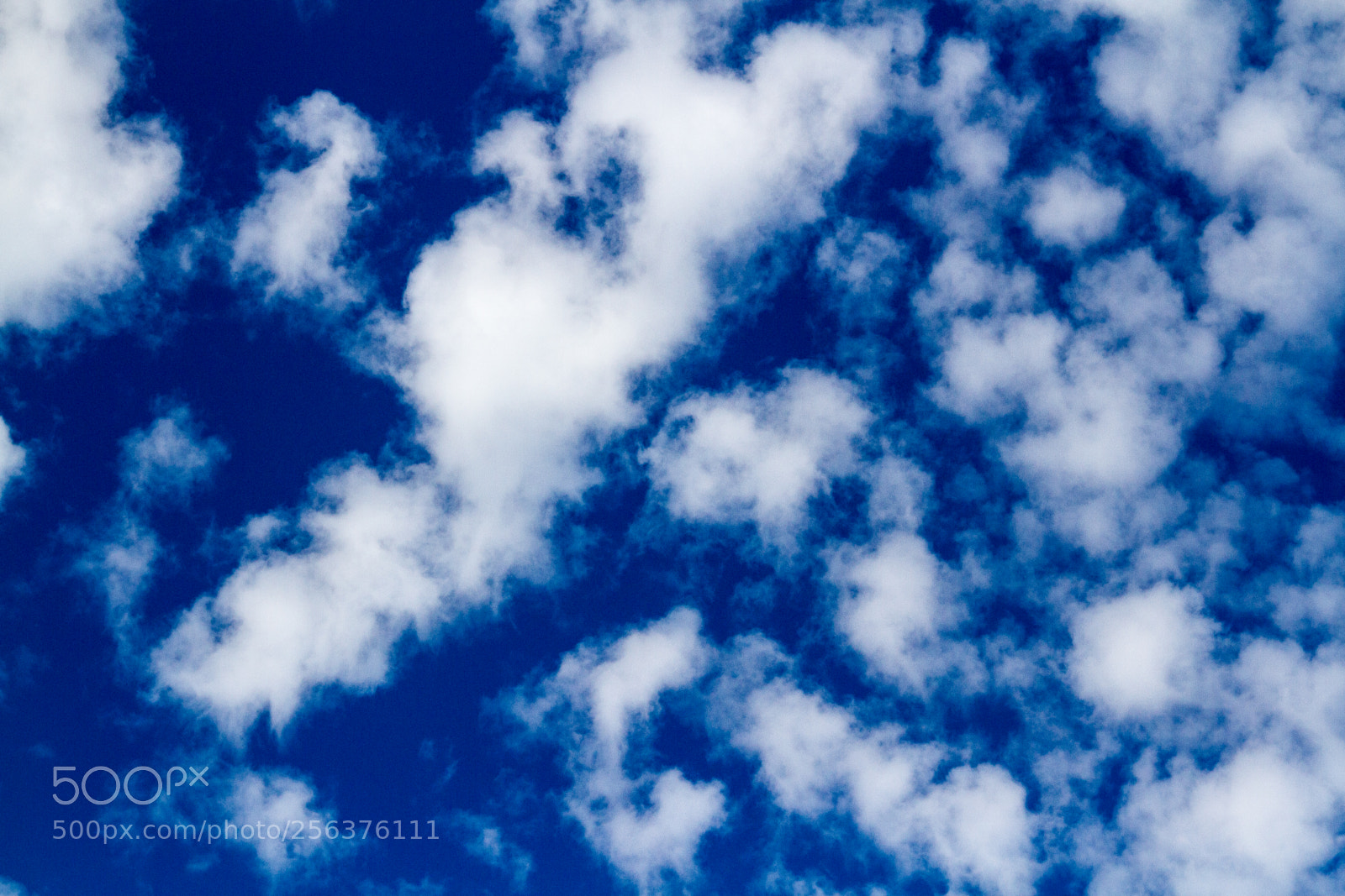 Canon EOS 7D sample photo. Untitled photography
