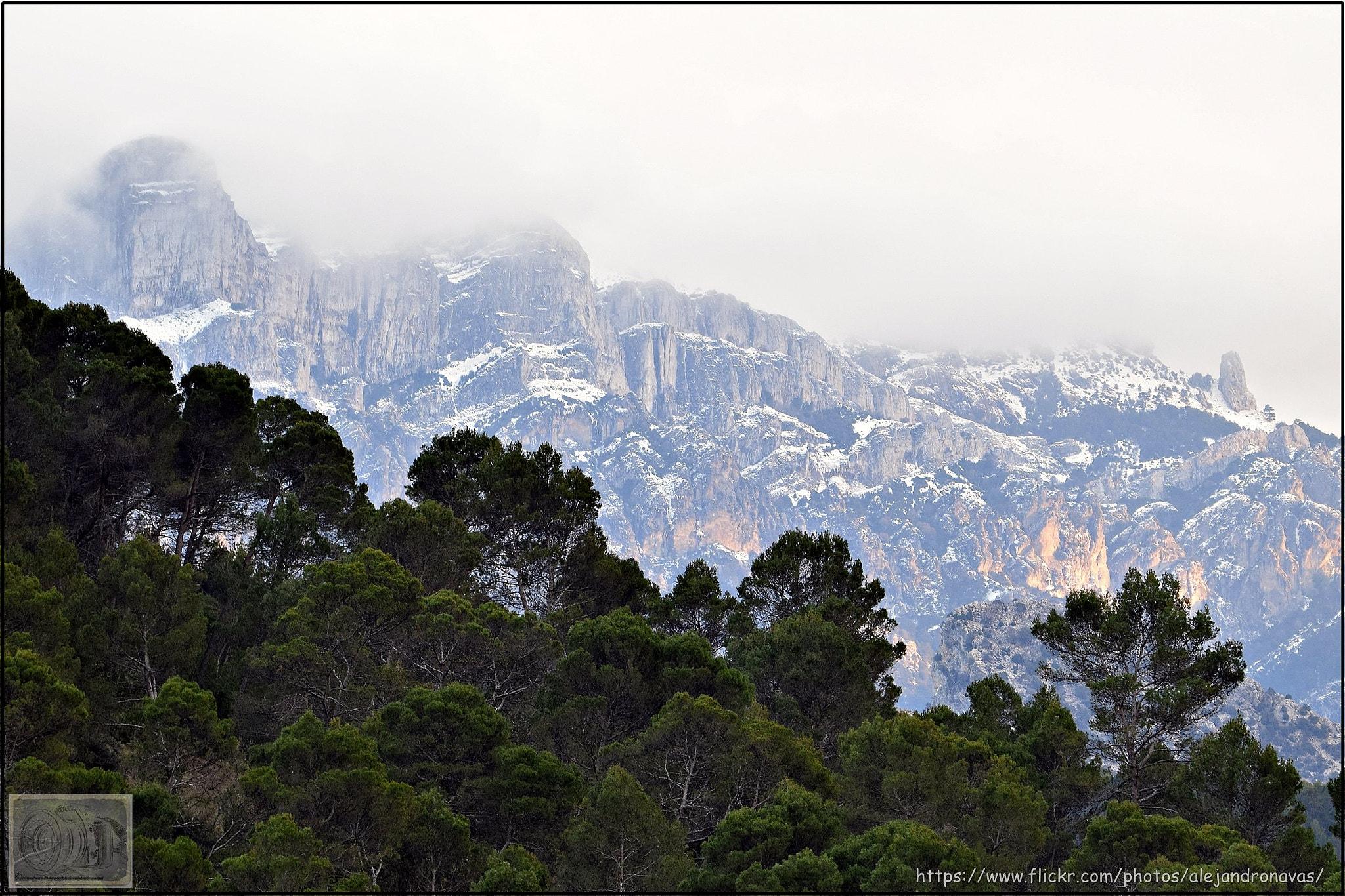 Nikon D3300 sample photo. En la niebla photography