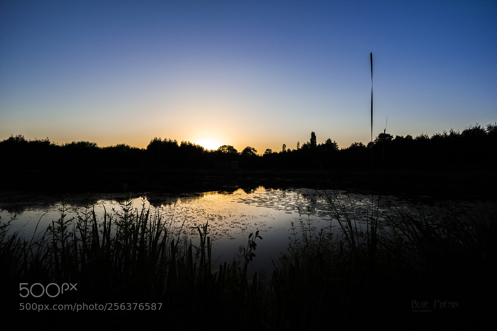 Canon EOS 550D (EOS Rebel T2i / EOS Kiss X4) sample photo. Sunset reflection photography