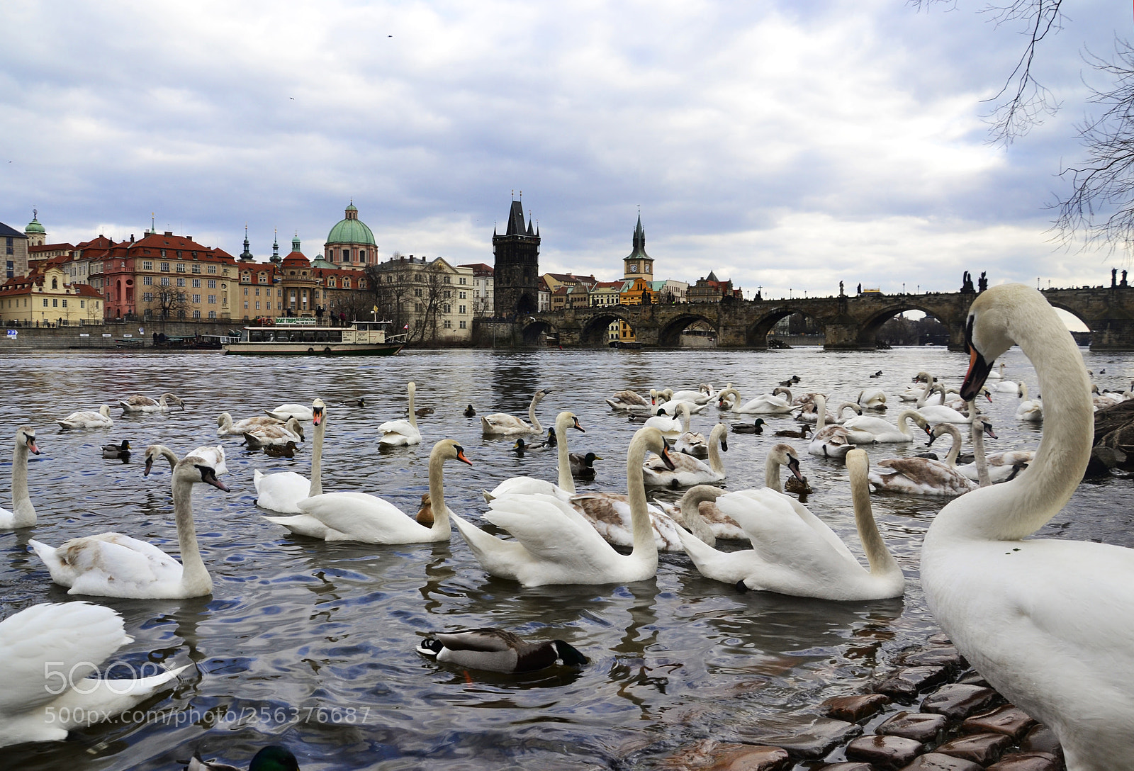 Nikon D3100 sample photo. Prague photography