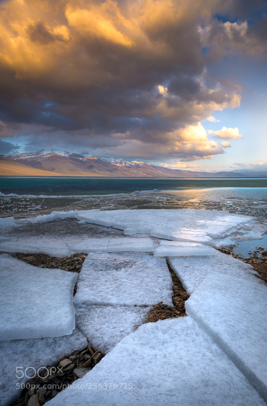 Nikon D610 sample photo. Frozen photography