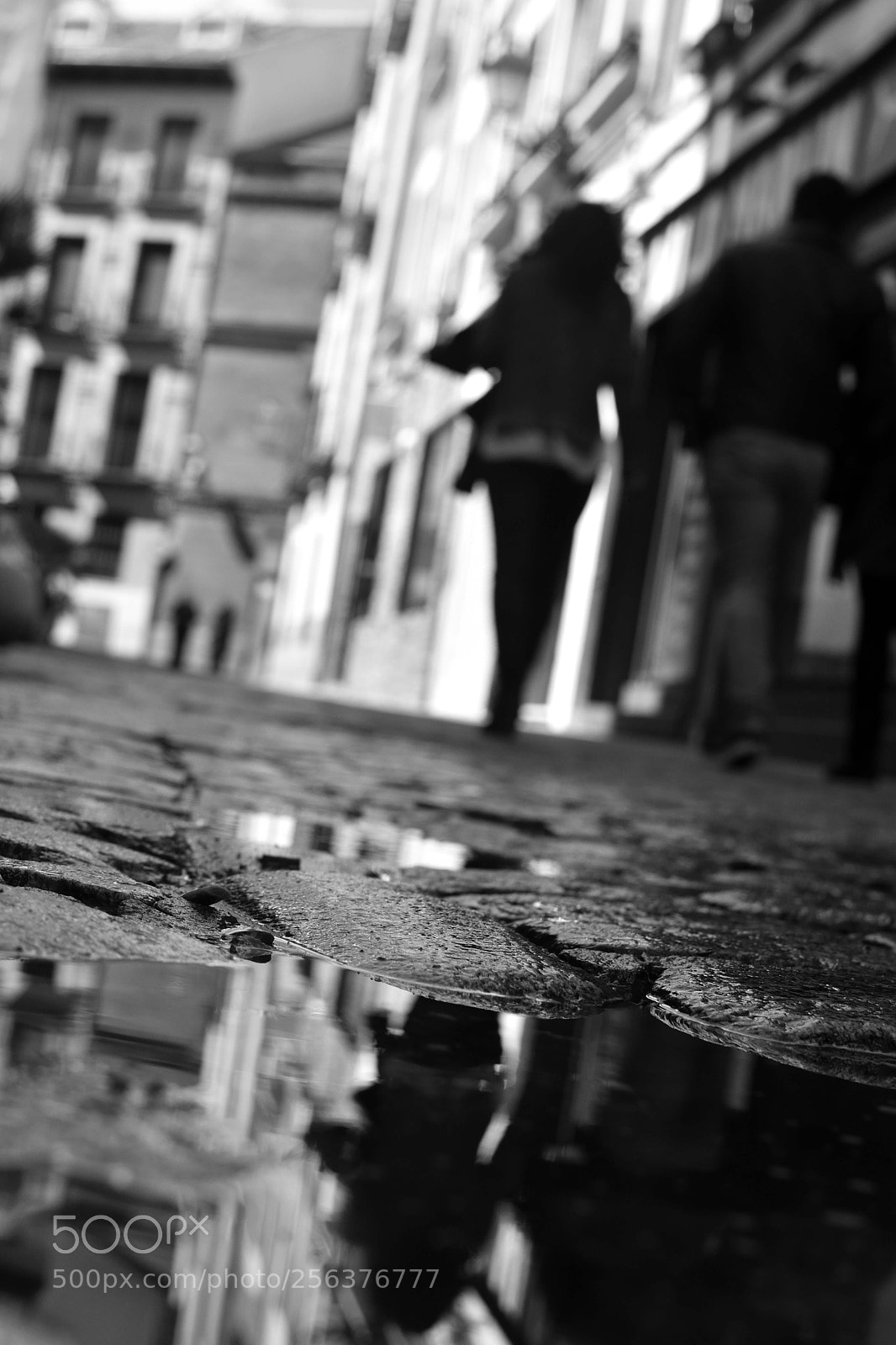 Nikon D7200 sample photo. After the rain photography