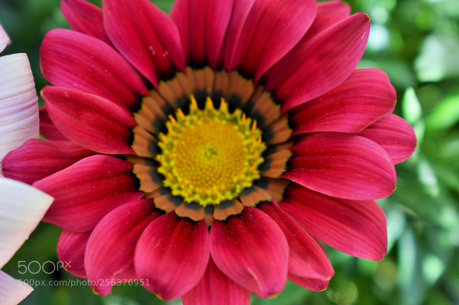 Nikon D3400 sample photo. () photography