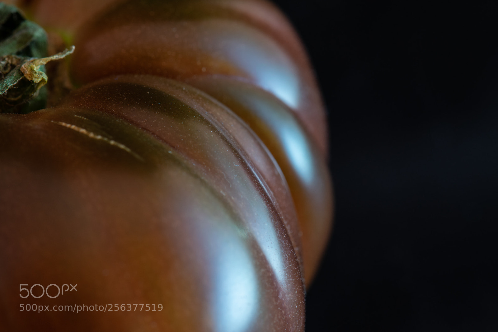 Nikon D5300 sample photo. Alternate perspective photography
