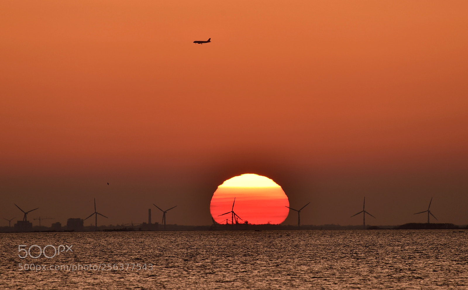 Nikon D810 sample photo. Sunset malmö sweden! photography