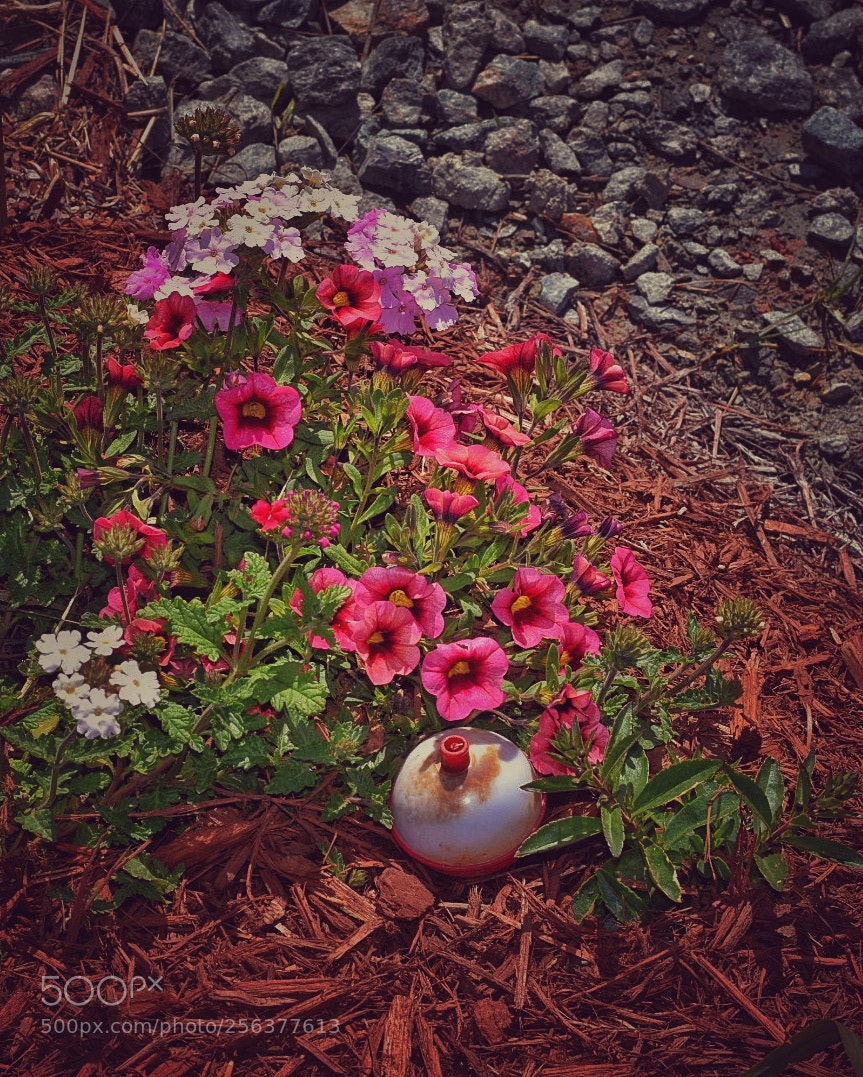 Nikon D3400 sample photo. Untitled photography