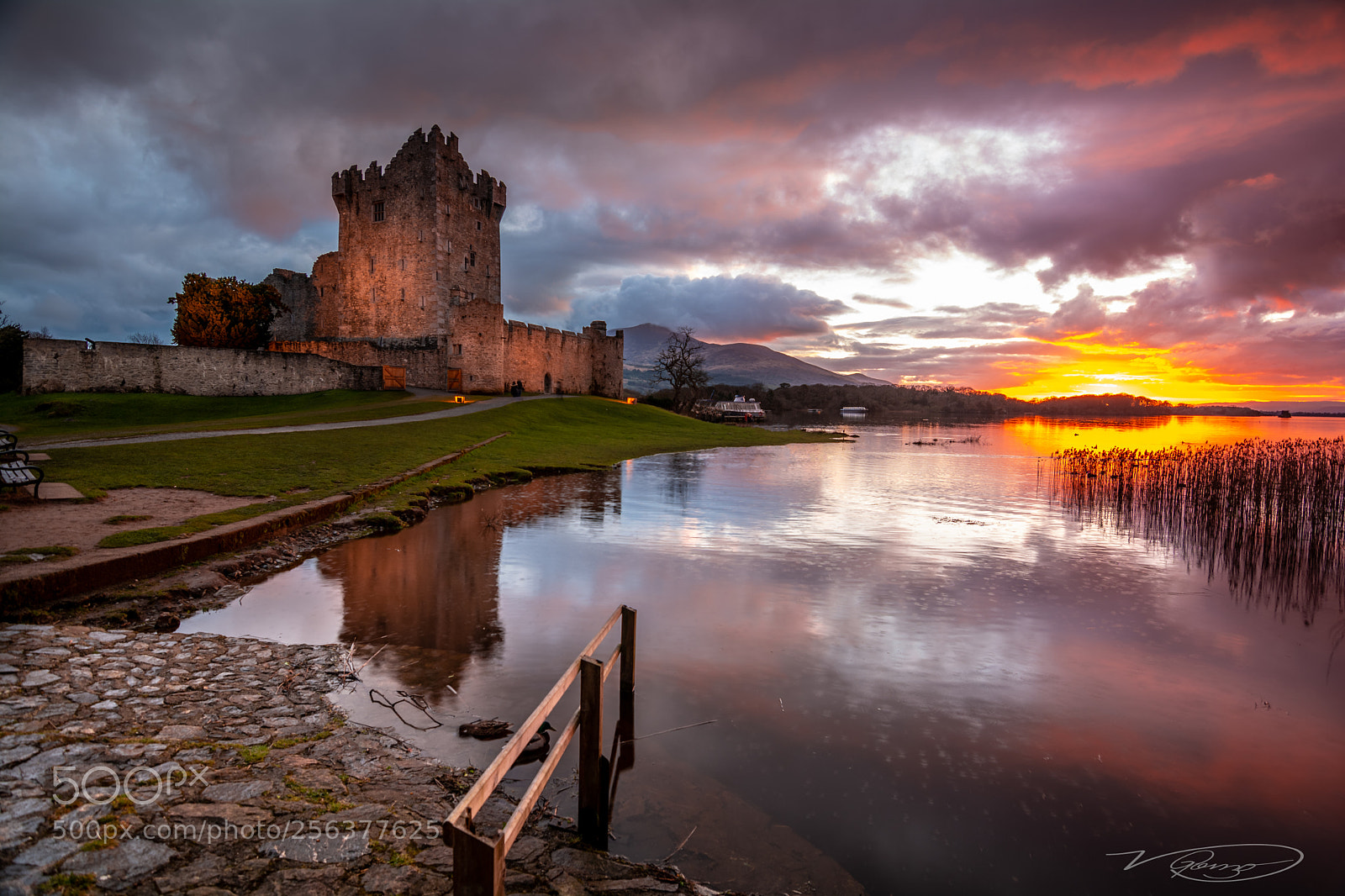Nikon D7100 sample photo. The castle of a photography
