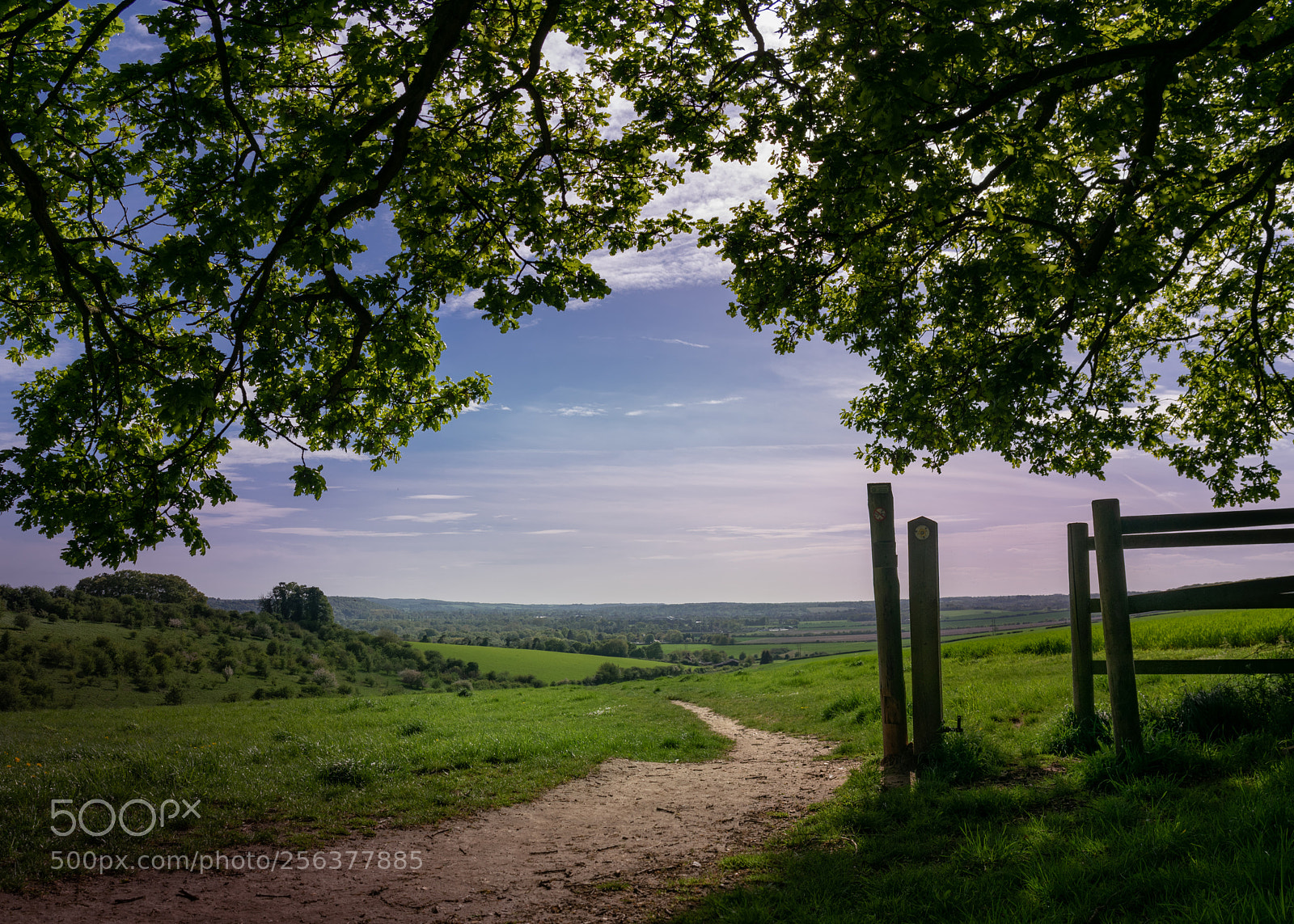 Nikon D3300 sample photo. Footpath photography