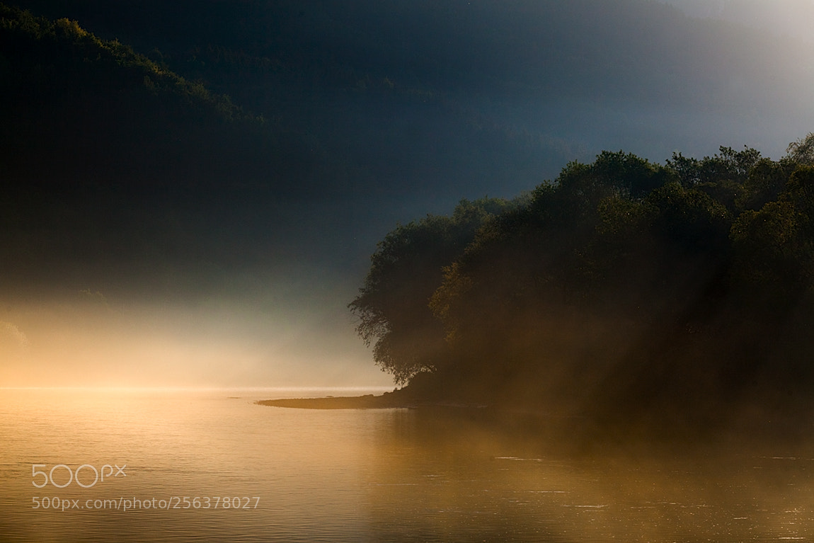 Canon EOS 5D Mark II sample photo. Misty morning photography