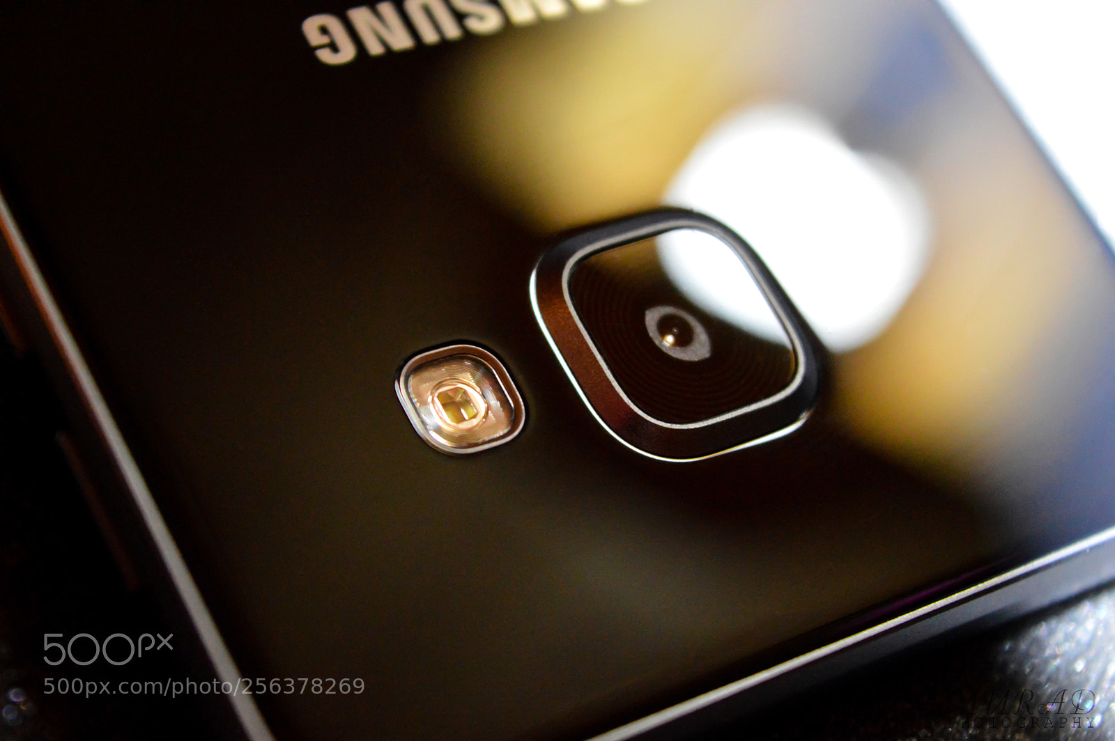 Nikon D3200 sample photo. A310f/ds photography