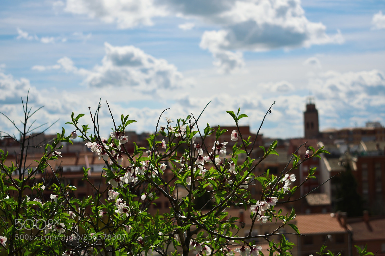 Nikon D3400 sample photo. Untitled photography