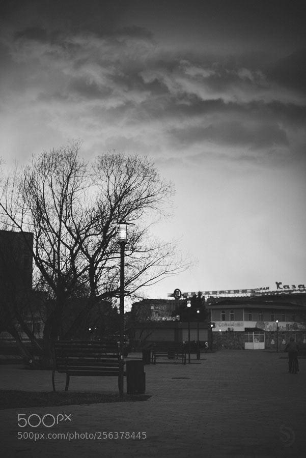 Nikon D610 sample photo. Blured evening photography