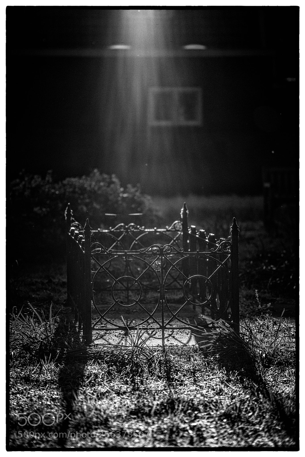 Nikon D610 sample photo. A grave from the photography