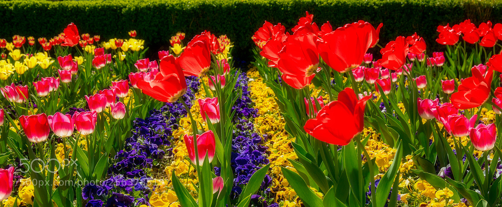 Canon EOS 6D sample photo. Fine gardening photography